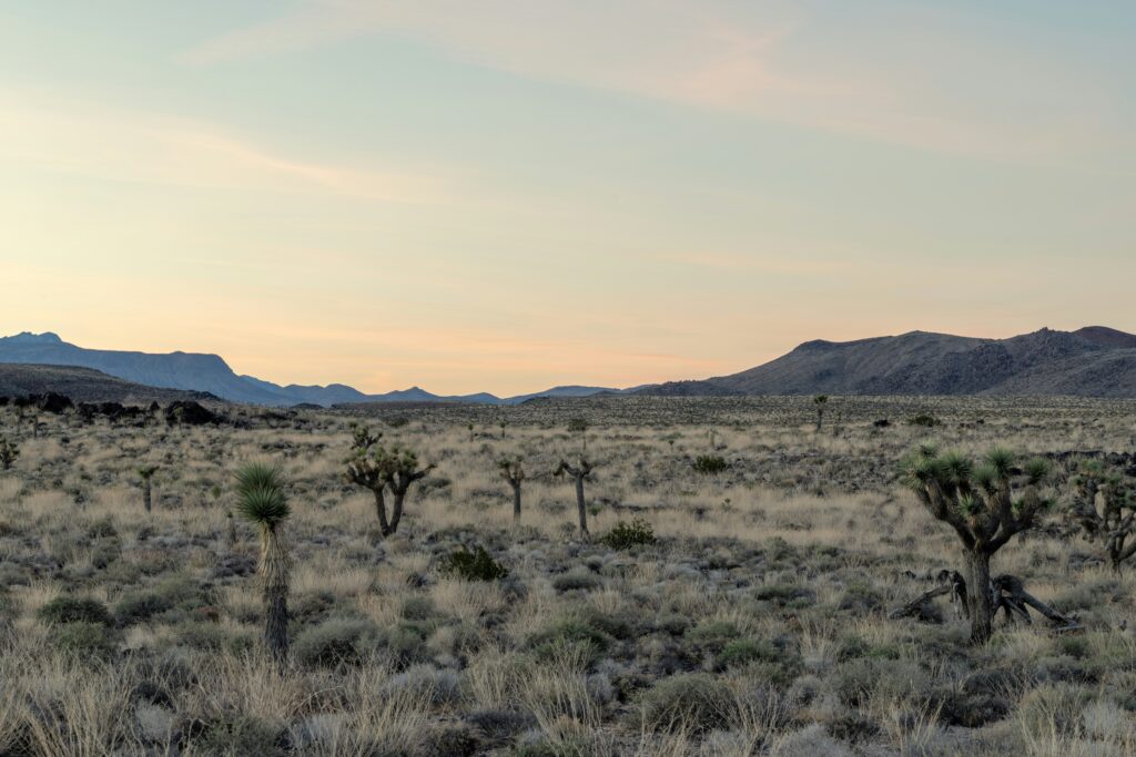 Why Vacant Land Is One of the Most Underrated Real Estate Investments